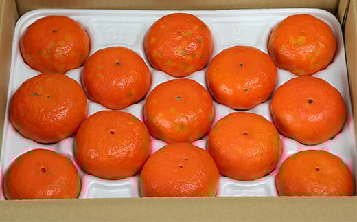 【訳あり・優品】野菜ソムリエ石児さんの「アンコール 2.5kg」 ミカン みかん 蜜柑 柑橘 訳あり 甘い 柑橘類 アンコール アンコールオレンジ フルーツ 先行予約 ＜103-018＞