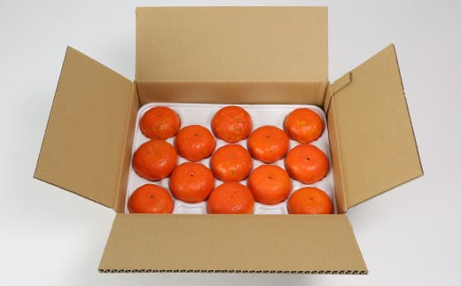 【訳あり・優品】野菜ソムリエ石児さんの「アンコール 2.5kg」 ミカン みかん 蜜柑 柑橘 訳あり 甘い 柑橘類 アンコール アンコールオレンジ フルーツ 先行予約 ＜103-018＞