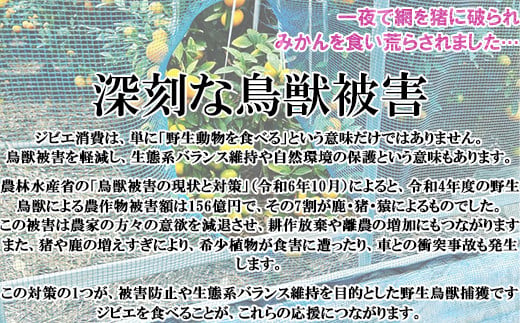 山香アグリのジビエふるさとCセット（猪ハム・ウインナー、鹿ウインナー）＜145-003＞