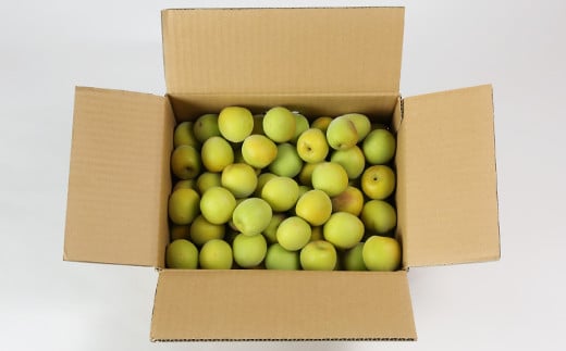 ã²ãã蟲åã®éæ¢
3kg æ¢
å髿¢
鿢
æ¢
å¹²ã æ¢
å¹² æ¢
å¹²ãçš æ¢
é
çš æ¢
é
æ¢
ã·ããã æ¢
ãžã£ã 3ãã æ°ééå® å
è¡äºçŽ ïŒ004-006ïŒ