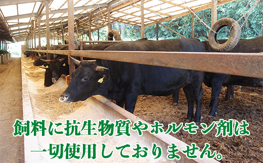 おおいた和牛 満足セット（カルビ焼肉・赤身すき焼き・サーロインステーキ）【ニード牧場】 お楽しみ 黒毛和牛 豊後牛 牛肉 お肉 赤身 霜降り すき焼き すきやき ステーキ しゃぶしゃぶ 焼き肉 カルビ サーロイン セット キャンプ バーベキュー 国産 ＜129-016＞
