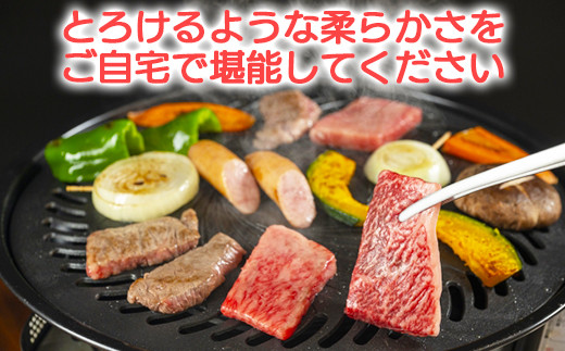 おおいた和牛 お楽しみセット（カルビ焼肉・赤身すき焼き・サーロインステーキ）【ニード牧場】 お楽しみ 黒毛和牛 豊後牛 牛肉 お肉 赤身 霜降り すき焼き すきやき ステーキ しゃぶしゃぶ 焼き肉 カルビ サーロイン セット キャンプ バーベキュー 国産 ＜129-015＞
