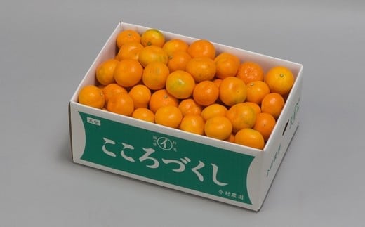 ãèš³ããã»åªåãä»æèŸ²åã®ããŠã¹ã¿ãã çŽ10kg ã¿ãã ææ© 10kg ãããã å
è¡äºçŽ 7æ ãã«ãŒã ïŒ107-004ïŒ