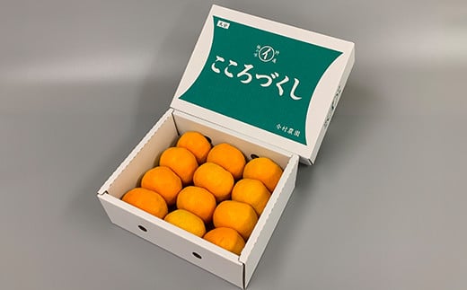 ãèš³ããã»åªåãä»æèŸ²åã®ããŠã¹ã¿ãã çŽ1.5kg ã¿ãã ææ© 1.5kg ãããã å
è¡äºçŽ 7æ ãã«ãŒã ïŒ107-002ïŒ