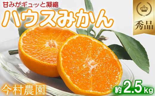 今村農園のハウスみかん 約2.5kg【秀品】 みかん 柑橘 2.5kg 秀品 先行予約 7月 フルーツ ＜107-007＞