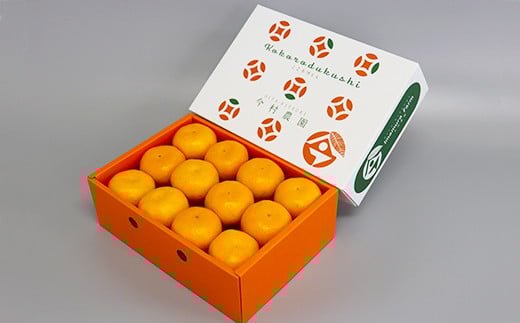 ä»æèŸ²åã®ããŠã¹ã¿ãã çŽ2.5kgãç§åã ã¿ãã ææ© 2.5kg ç§å å
è¡äºçŽ 7æ ãã«ãŒã ïŒ107-007ïŒ