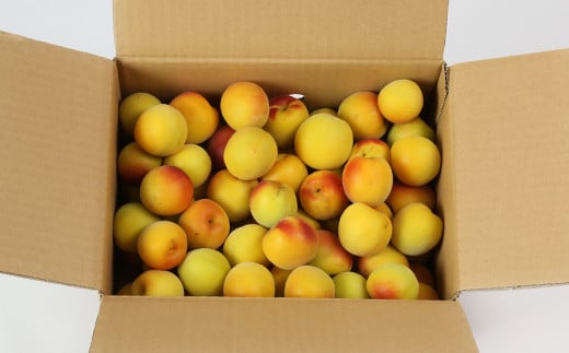 ã²ãã蟲åã®å®çæ¢
3kg æ¢
å髿¢
å®çæ¢
æ¢
å¹²ã æ¢
å¹² æ¢
å¹²ãçš æ¢
é
æ¢
ã·ããã æ¢
ãžã£ã 3ãã æ°ééå® å
è¡äºçŽ 6æ ïŒ004-008ïŒ