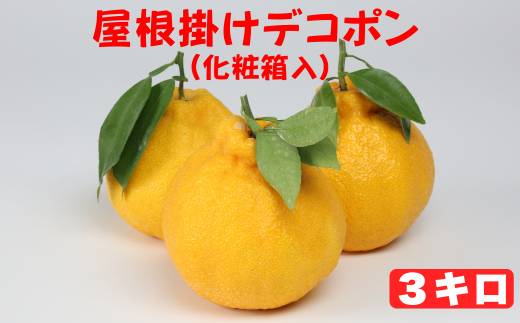 屋根掛けデコポン 約3kg（化粧箱入） ／ ミカン みかん 蜜柑 柑橘類 デコポン 不知火 3kg 屋根掛け 先行予約 フルーツ ＜132-006＞
