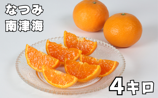 南津海[なつみ] 4kg ／ ミカン みかん 蜜柑 柑橘類 南津海 4kg 先行予約 フルーツ ＜132-009＞