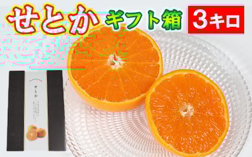 せとか 約3kg（化粧箱入） ／ ミカン みかん 蜜柑 柑橘類 せとか 3kg 先行予約 フルーツ ＜132-007＞
