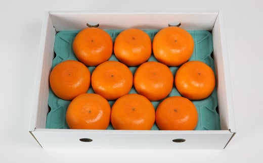 せとか 約3kg（化粧箱入） ／ ミカン みかん 蜜柑 柑橘類 せとか 3kg 先行予約 フルーツ ＜132-007＞