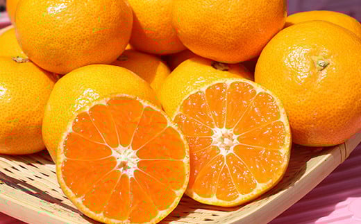 ハウスみかん約1kg（化粧箱入） みかん 温州 温州みかん 温州ミカン 1kg 甘い 秀品 柑橘類 糖度 6月 7月 ハウスみかん フルーツ 先行予約 九州 大分 杵築 ＜132-010＞