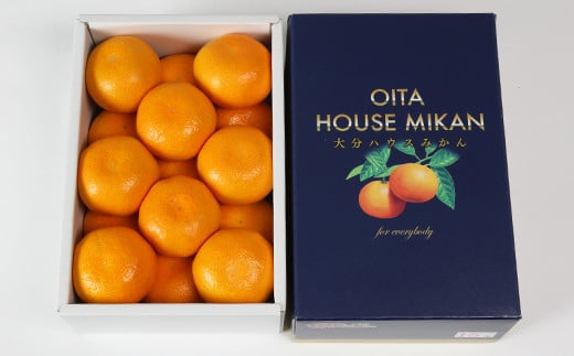 ハウスみかん約1kg（化粧箱入） みかん 温州 温州みかん 温州ミカン 1kg 甘い 秀品 柑橘類 糖度 6月 7月 ハウスみかん フルーツ 先行予約 九州 大分 杵築 ＜132-010＞