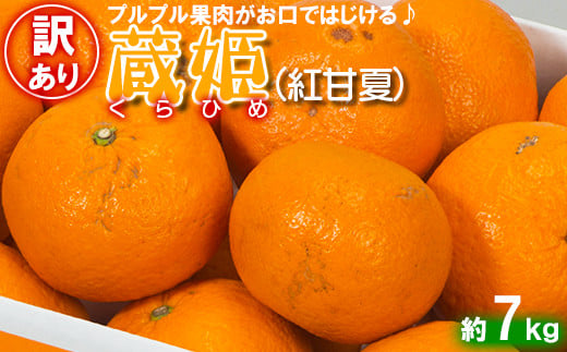 【訳あり・優品】今村農園の「蔵姫くらひめ（紅甘夏） 約7kg」 先行予約 7kg 2026年 3月発送 4月発送 わけあり 柑橘類 みかん ミカン フルーツ ＜107-030_7＞