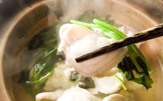 【冷凍】豊後とらふぐプレミアムセット6人前（白子付） ＜104-037_5＞