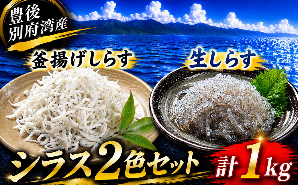 シラス 二色 食べ比べ セット 計 1kg （釜揚げしらす・生しらす） 国産 添加物不使用 ／ 釜揚げしらす 生しらす 食べ比べ 1kg セット 1キロ かまあげしらす カマアゲシラス なましらす ナマシラス しらす シラス 国産 小分け シラス丼 海鮮丼 おつまみ 冷凍 冷凍配送 ＜108-241＞