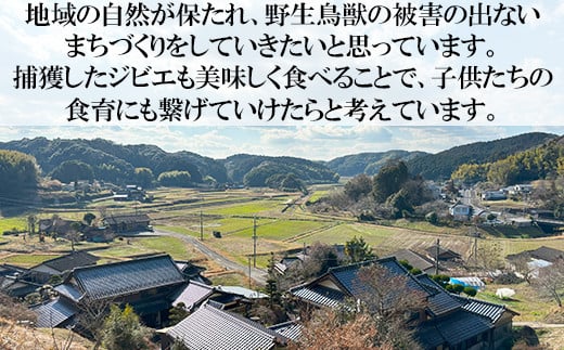 山香ジビエの郷 猪肉鹿肉1.5kgセット 焼肉 小分け ジビエ 猪肉 鹿肉 ブロック ミンチ ＜047-002_7＞