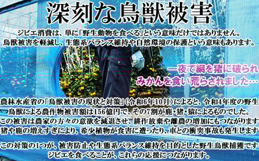 å±±éŠãžããšã®é· çªèã»ããïŒçªã¹ã©ã€ã¹ã»çªãã³ãã»çªããã㯠èš900gïŒ çŒè å°åã ãžããš çªè ããã㯠ãã³ã ïŒ047-001_7ïŒ