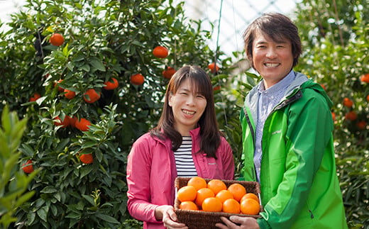 【訳あり・優品】野菜ソムリエ石児さんの「アンコール 10kg」 ミカン みかん 蜜柑 柑橘 10kg 訳あり 甘い 柑橘類 アンコール アンコールオレンジ フルーツ 先行予約 ＜103-020＞
