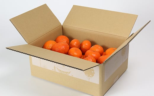 【訳あり・優品】野菜ソムリエ石児さんの「アンコール 5kg」 ミカン みかん 蜜柑 柑橘 5kg 訳あり 甘い 柑橘類 アンコール アンコールオレンジ フルーツ 先行予約 ＜103-019＞