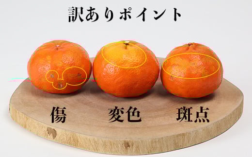 【訳あり・優品】野菜ソムリエ石児さんの「アンコール 5kg」 ミカン みかん 蜜柑 柑橘 5kg 訳あり 甘い 柑橘類 アンコール アンコールオレンジ フルーツ 先行予約 ＜103-019＞