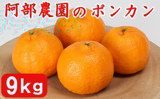 阿部農園の「ポンカン 約9kg」 ／ ミカン みかん 蜜柑 柑橘類 先行予約 1月 2月 数量限定 フルーツ ＜112-005＞