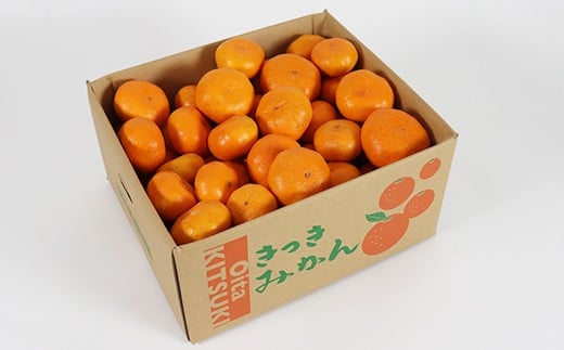 【訳あり品】阿部農園の「青島 約8kg」 ／ ミカン みかん 蜜柑 柑橘類 糖度 訳あり 1月 1月発送 1月配送 先行予約 甘い 温州みかん 温州 フルーツ ＜112-003＞