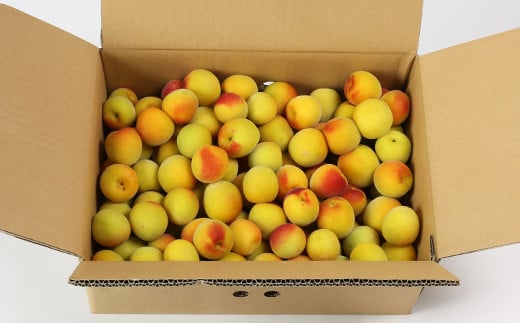 ã²ãã蟲åã®å®çæ¢
5kg æ¢
å髿¢
å®çæ¢
æ¢
å¹²ã æ¢
å¹² æ¢
å¹²ãçš æ¢
é
æ¢
ã·ããã æ¢
ãžã£ã 5ãã æ°ééå® å
è¡äºçŽ 6æ ïŒ004-009ïŒ