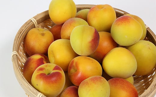 ã²ãã蟲åã®å®çæ¢
5kg æ¢
å髿¢
å®çæ¢
æ¢
å¹²ã æ¢
å¹² æ¢
å¹²ãçš æ¢
é
æ¢
ã·ããã æ¢
ãžã£ã 5ãã æ°ééå® å
è¡äºçŽ 6æ ïŒ004-009ïŒ