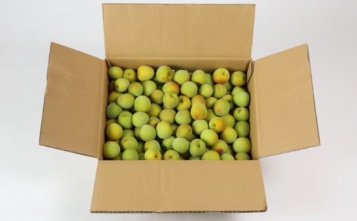 ã²ãã蟲åã®éæ¢
5kg æ¢
å髿¢
鿢
æ¢
å¹²ã æ¢
å¹² æ¢
å¹²ãçš æ¢
é
çš æ¢
é
æ¢
ã·ããã æ¢
ãžã£ã 5ãã æ°ééå® å
è¡äºçŽ ïŒ004-007ïŒ