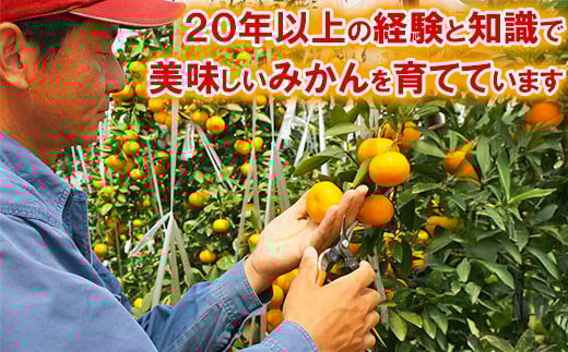 ä»æèŸ²åã®ããŠã¹ã¿ãã çŽ5kgãç§åã ã¿ãã ææ© 5kg ç§å å
è¡äºçŽ 7æ ãã«ãŒã ïŒ107-008ïŒ