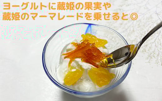 【訳あり・規格外品】今村農園の「蔵姫くらひめ（紅甘夏） 約10kg」 先行予約 10kg 2026年 3月発送 4月発送 わけあり 柑橘類 みかん ミカン フルーツ ＜107-028_7＞