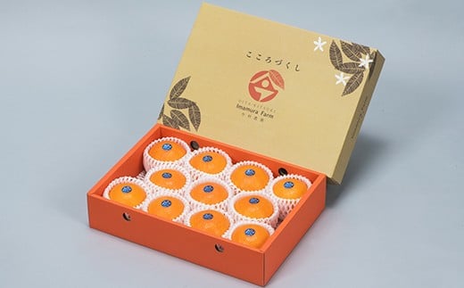 今村農園のおひさまきらりん 約2.5kg【秀品】  甘い オレンジ みかん ミカン 清美 2.5kg 12月発送 1月発送 先行予約 贈答 柑橘類 フルーツ ＜107-024_6＞