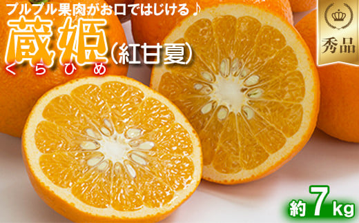 今村農園の蔵姫くらひめ（紅甘夏） 約4kg【秀品】 先行予約 4kg 2026年 3月発送 4月発送 贈答 柑橘類 みかん ミカン フルーツ ＜107-032_7＞