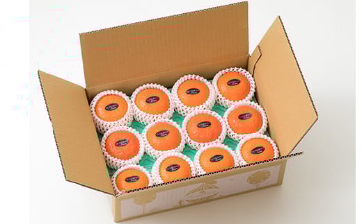 éèãœã ãªãšç³å
ããã®ãç¹éž ã¢ã³ã³ãŒã« 2.5kgã ãã«ã³ ã¿ãã èæ ææ© 2.5kg çã ææ©é¡ ã¢ã³ã³ãŒã« ã¢ã³ã³ãŒã«ãªã¬ã³ãž ãã«ãŒã å
è¡äºçŽ ïŒ103-021ïŒ