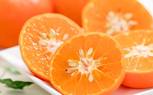 éèãœã ãªãšç³å
ããã®ãç¹éž ã¢ã³ã³ãŒã« 2.5kgã ãã«ã³ ã¿ãã èæ ææ© 2.5kg çã ææ©é¡ ã¢ã³ã³ãŒã« ã¢ã³ã³ãŒã«ãªã¬ã³ãž ãã«ãŒã å
è¡äºçŽ ïŒ103-021ïŒ