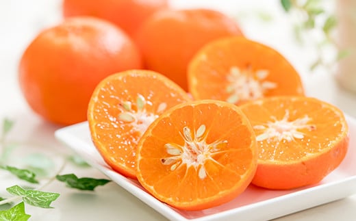 éèãœã ãªãšç³å
ããã®ãç¹éž ã¢ã³ã³ãŒã« 2.5kgã ãã«ã³ ã¿ãã èæ ææ© 2.5kg çã ææ©é¡ ã¢ã³ã³ãŒã« ã¢ã³ã³ãŒã«ãªã¬ã³ãž ãã«ãŒã å
è¡äºçŽ ïŒ103-021ïŒ