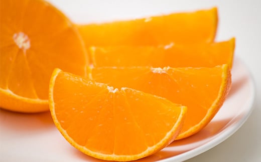 野菜ソムリエ石児さんの「特選 せとか 2.5kg」  ミカン みかん 蜜柑 柑橘 2.5kg 柑橘類 せとか フルーツ 贈答 2月 3月 先行予約 ＜103-015＞