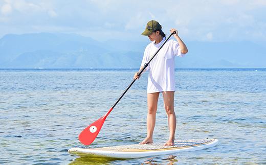 【会員チケット】SUP 1か月 レンタル 定期利用券 マンスリーパス 【マリンショップBUZZ】＜163-010＞