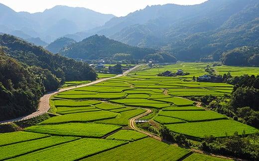 薪 20kg（クヌギ） [つなぐ薪、つづく里山。] 〜歴史を受け継ぎ　未来へつなぐ〜 薪 まき マキ 乾燥薪 クヌギ 広葉樹 焚き火 たき火 ストーブ 薪ストーブ キャンプ アウトドア ＜164-001＞