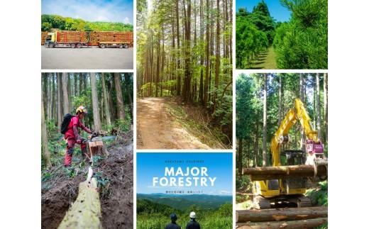 薪 20kg（クヌギ） [つなぐ薪、つづく里山。] 〜歴史を受け継ぎ　未来へつなぐ〜 薪 まき マキ 乾燥薪 クヌギ 広葉樹 焚き火 たき火 ストーブ 薪ストーブ キャンプ アウトドア ＜164-001＞