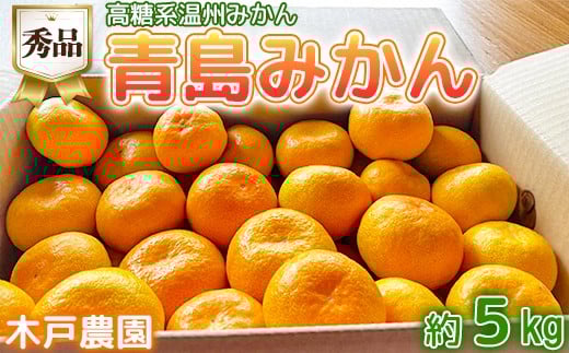 高糖系温州みかん 木戸農園の青島 約5kg （秀品） 先行予約 柑橘類 フルーツ 果物 1月 2月 ＜113-019＞