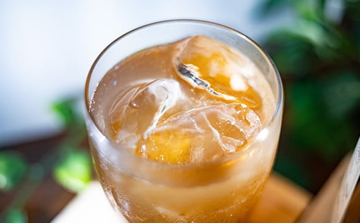 城下町コーラ（クラフトコーラ）200m×2本 コーラ クラフトコーラ コーラシロップ  炭酸 炭酸飲料 ご当地コーラ ご当地飲料 ＜108-052＞