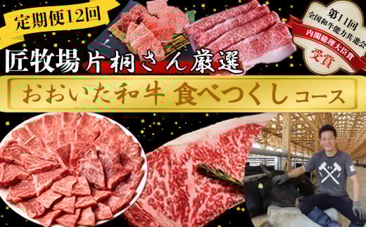 [2月発送開始]＜12か月定期便＞匠牧場 片桐さん厳選【おおいた和牛食べつくしコース】 牛肉 和牛 定期便 12回 12ヶ月 おすすめ 国産  ＜102-802＞