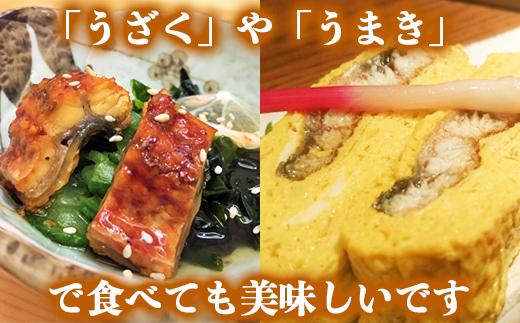 ＜定期便(毎月)全3回＞温泉うなぎ蒲焼 2尾（160gサイズ） ＜104-802＞