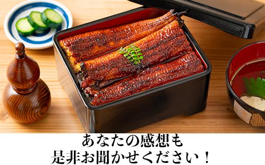 完全無投薬養殖！温泉うなぎ蒲焼 2尾（160gサイズ） 自宅用 エコ包装  ＜104-066＞