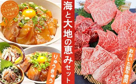 りゅうきゅう4種+おおいた和牛焼肉 [海と大地の恵みセット] 杵築市 セット ＜801-001＞