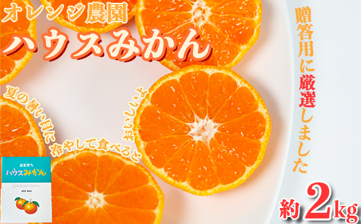 【2026 夏 発送 先行予約】オレンジ農園のハウスみかん 約2kg みかん 柑橘 7月 8月 フルーツ ＜114-002_6＞