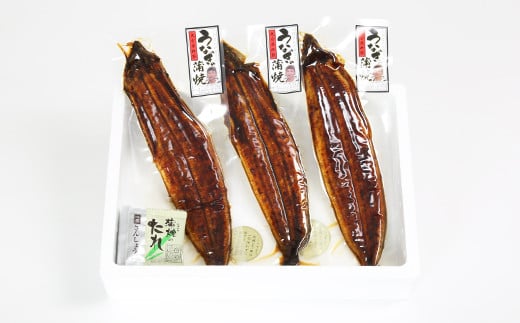 温泉うなぎ蒲焼 3尾（160gサイズ） 国産うなぎ 人気 国産 蒲焼 蒲焼き かば焼き 鰻屋 個包装 冷凍 真空 ギフト ＜104-012＞