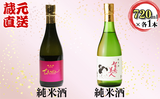 ちえびじん純米酒+智恵美人純米酒 飲み比べセット【中野酒造】 受賞 人気 ギフト 贈答 ＜110-017＞